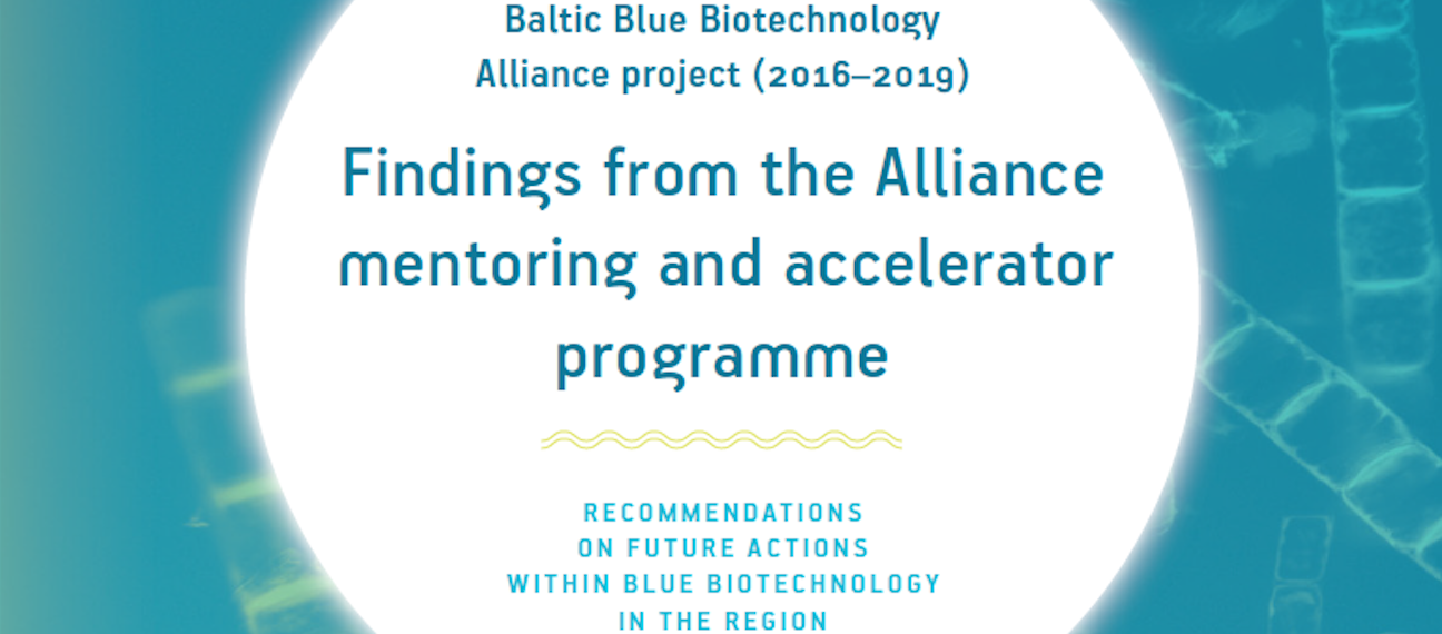 Findings from the Alliance mentoring and accelerator programme – full report