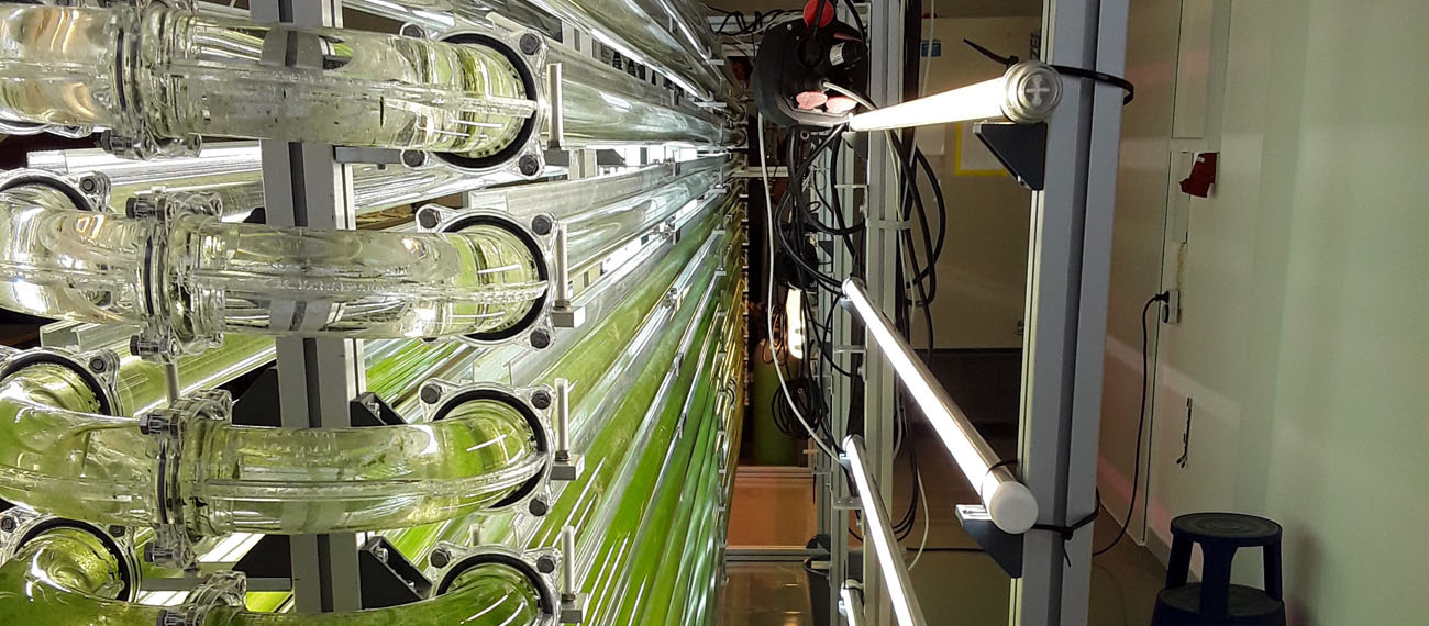 Algoliner: photobioreactors for cultivation of microalgae