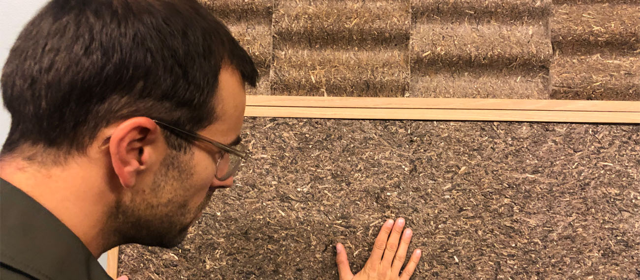 Søuld: building materials made of eelgrass