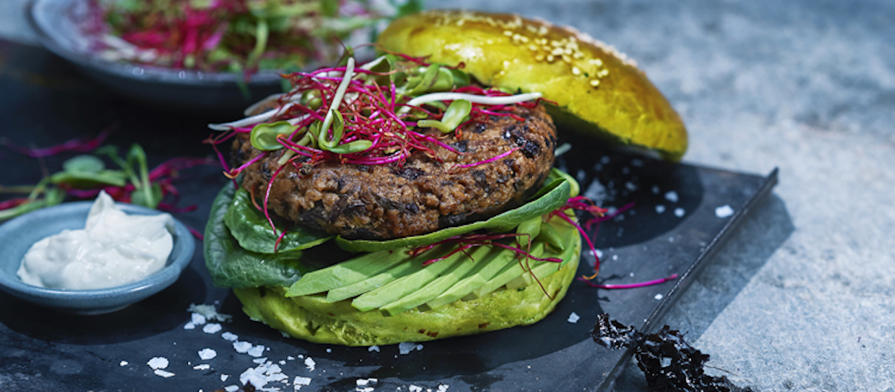 Nordic Seafarm: EU Organic certified & Swedish-cultivated seaweed