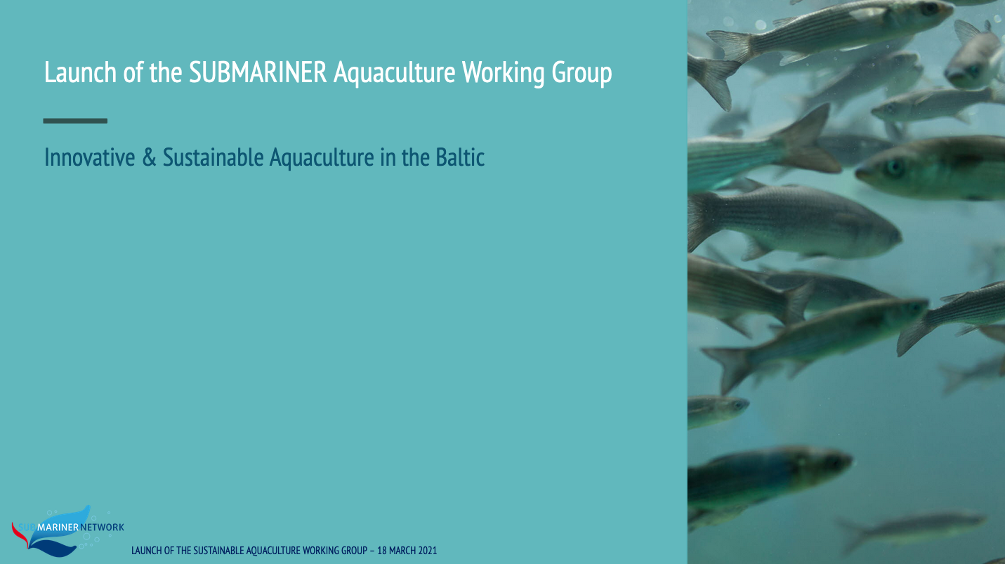 Better Off Blue Event #2: Launch of the SUBMARINER Aquaculture Working Group