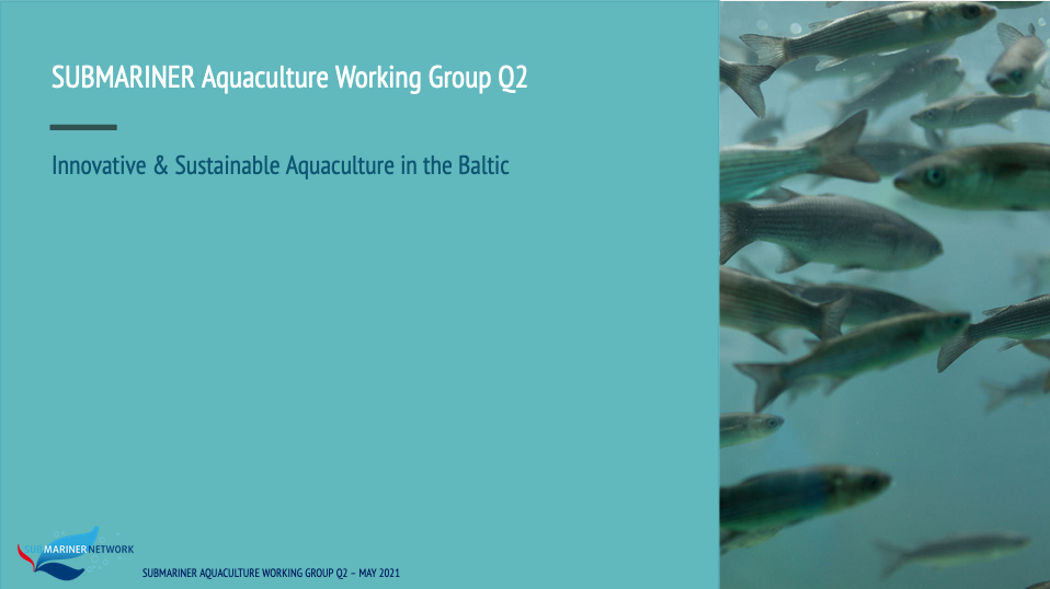 2nd Meeting of the SUBMARINER Aquaculture Working Group