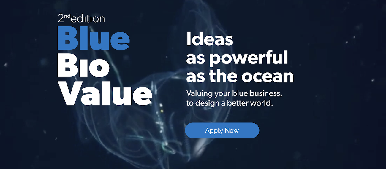 Apply for the 2nd edition: Blue Bio Value | Accelerator | Portugal 