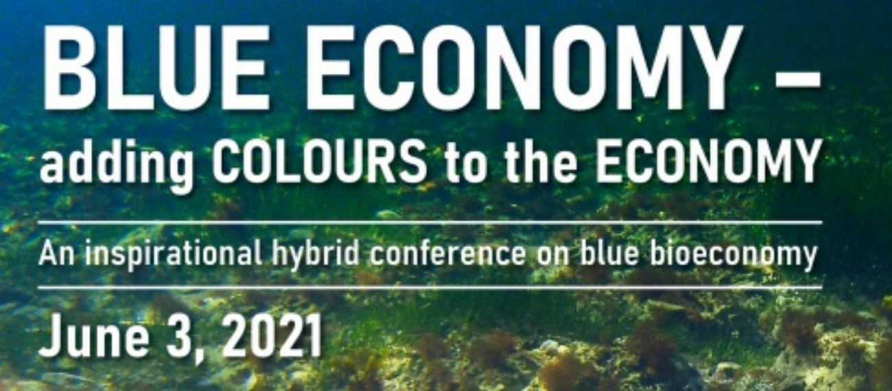 Estonian event shows potential of the blue economy sector