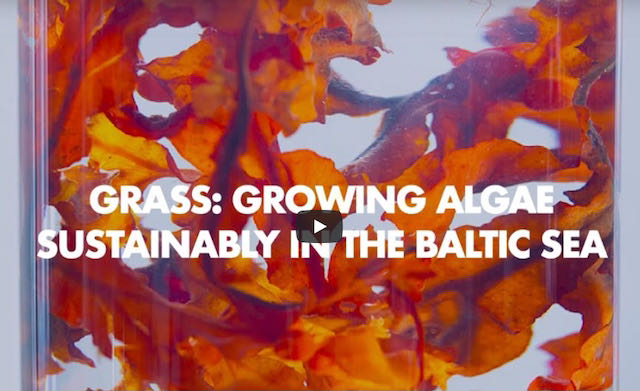 Watch the GRASS mini documentary