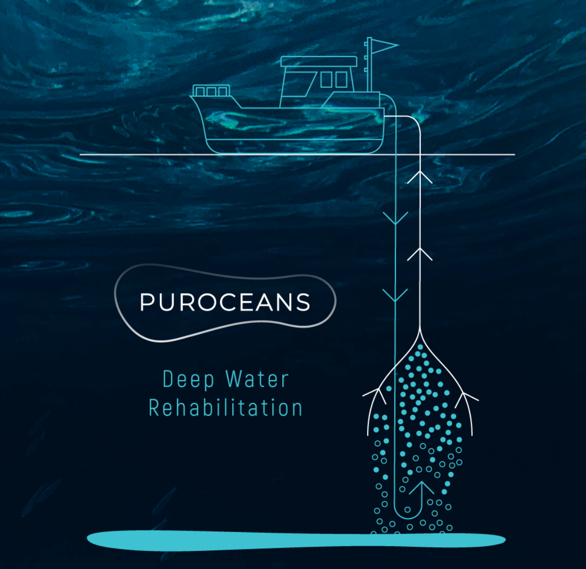 PurOceans_pic.png