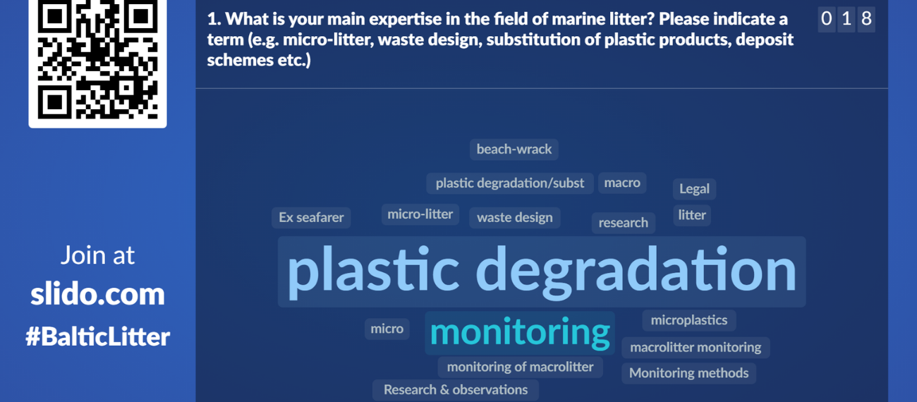 The SUBMARINER Marine Litter Working Group takes its first steps