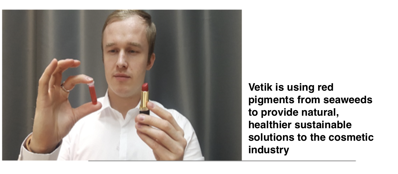 ALLIANCE case Vetik in an interview to BioMarine: Discovering the potential of red seaweeds