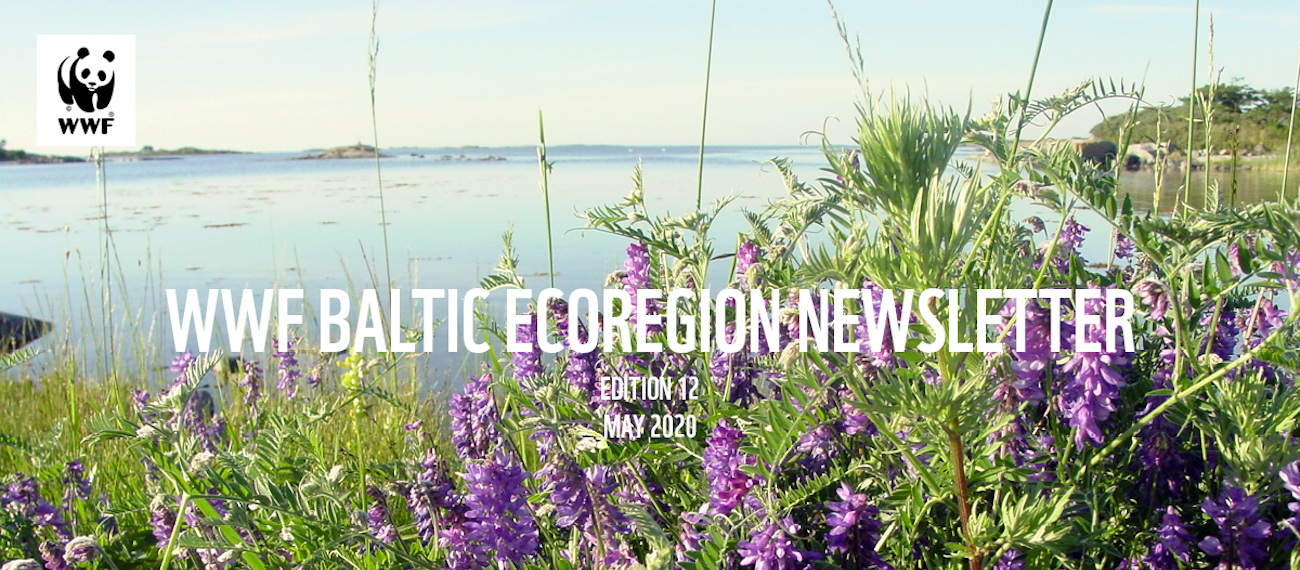 GRASS project in the WWF Baltic Ecoregion Programme Newsletter