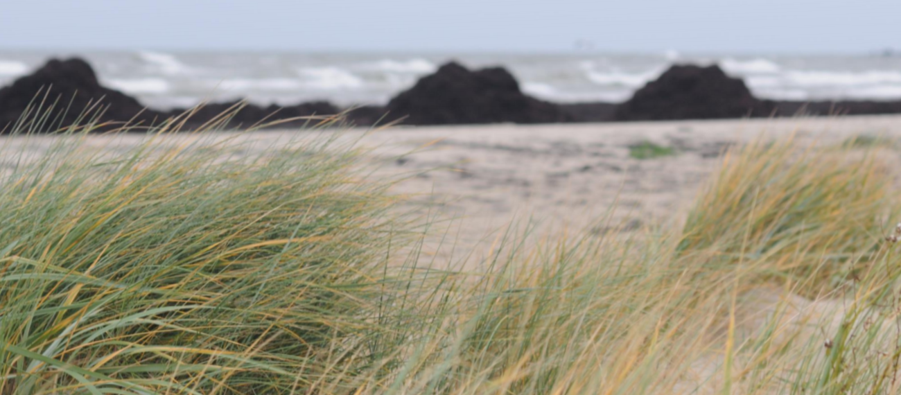 Website news banner 1300x570px 1