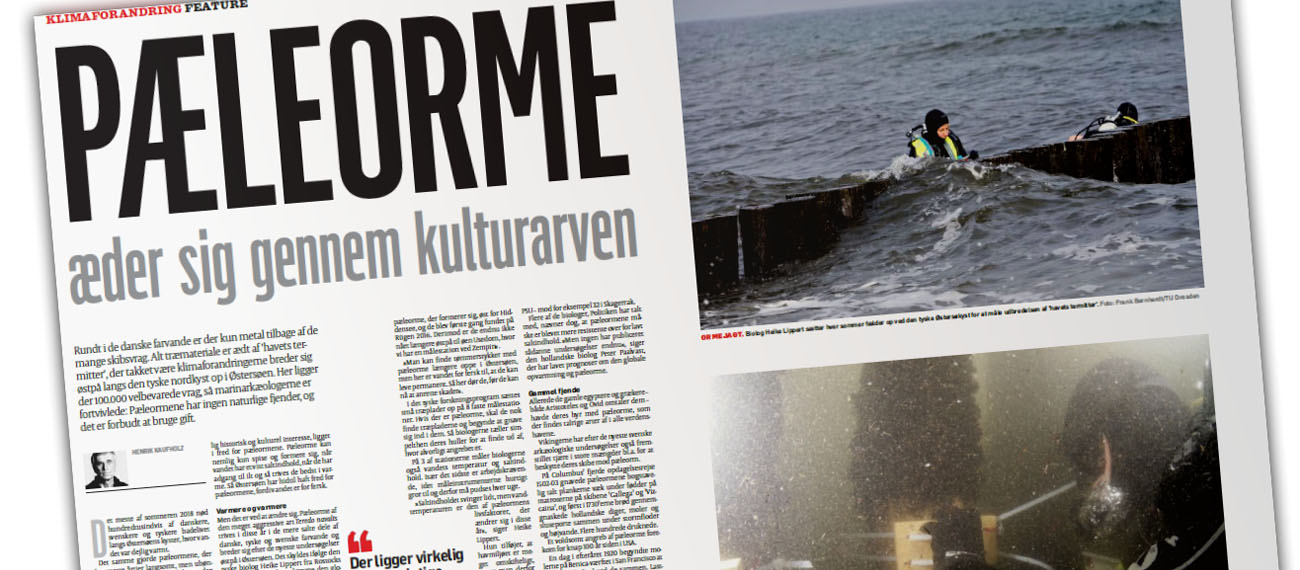 BalticRIM mentioned in the Danish news 