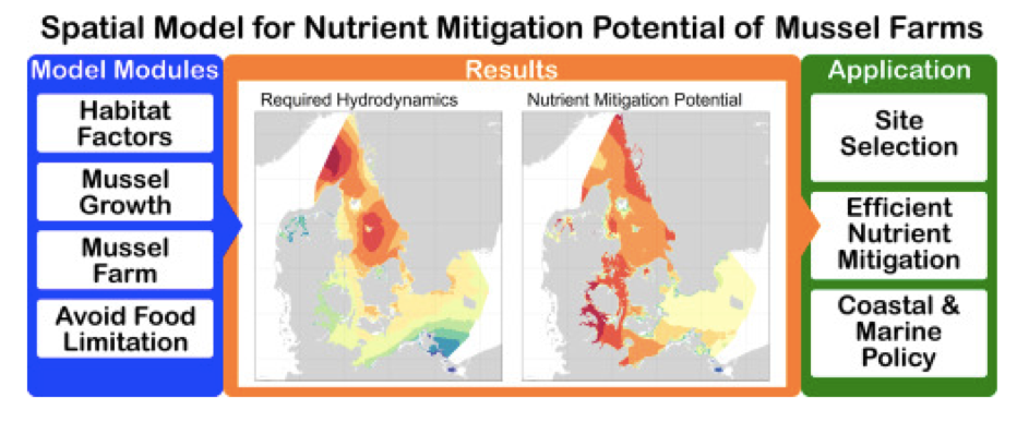 New article on mussel farming as nutrient mitigation 