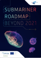 SUBMARINER Roadmap beyond 2021