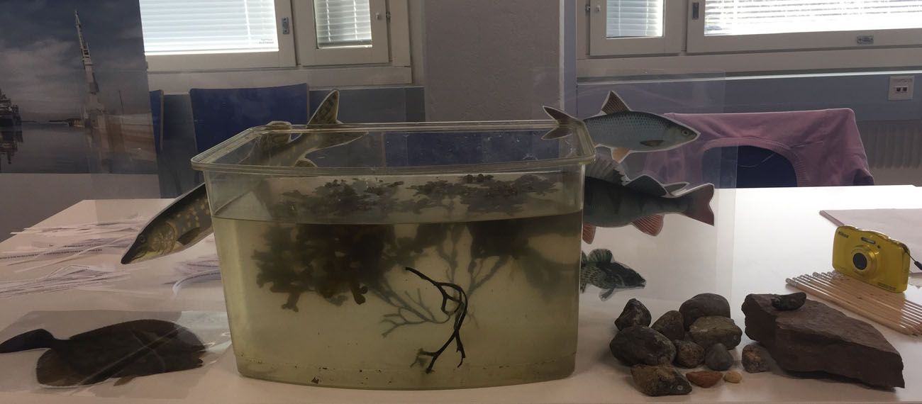 aquarium