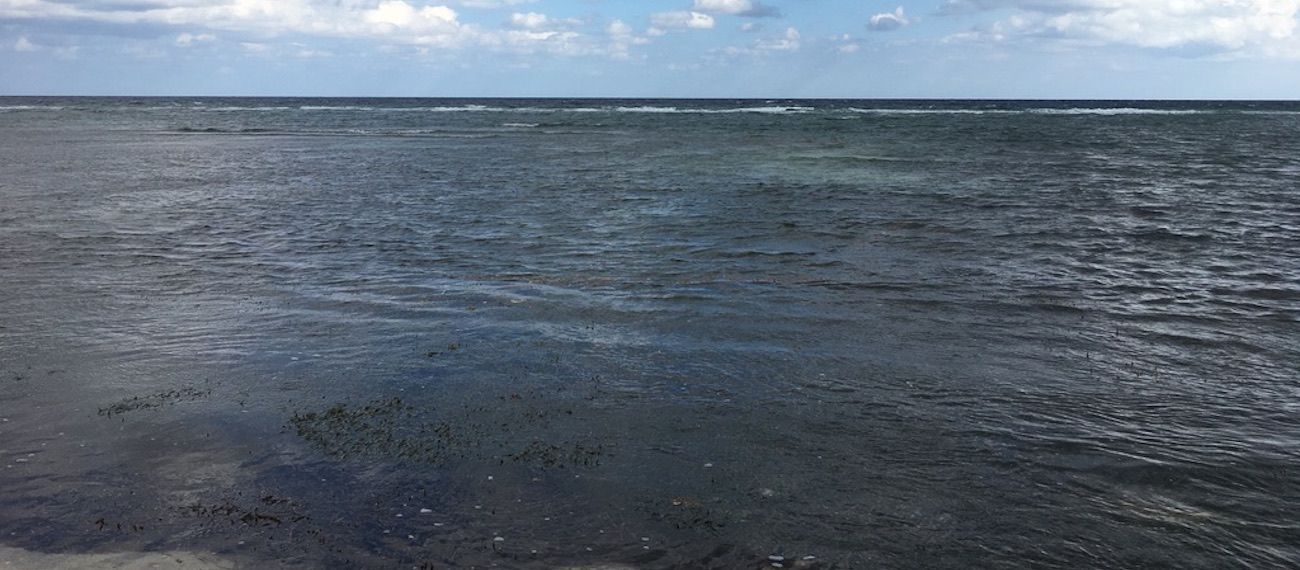 sea with landscape