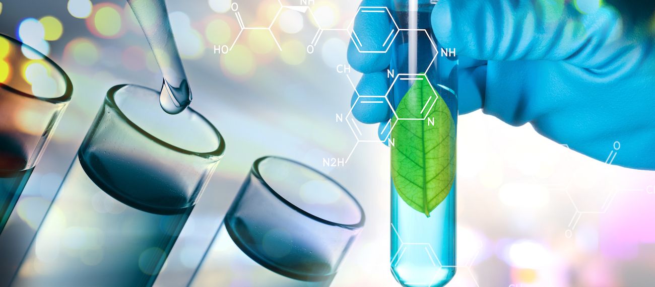 laboratory work