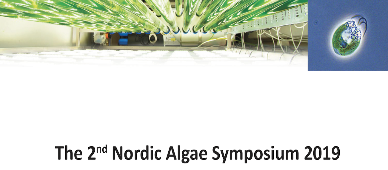 algae