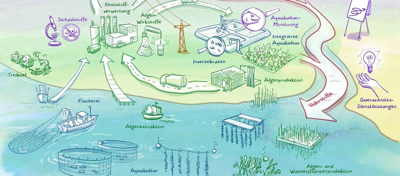 bluebioeconomy