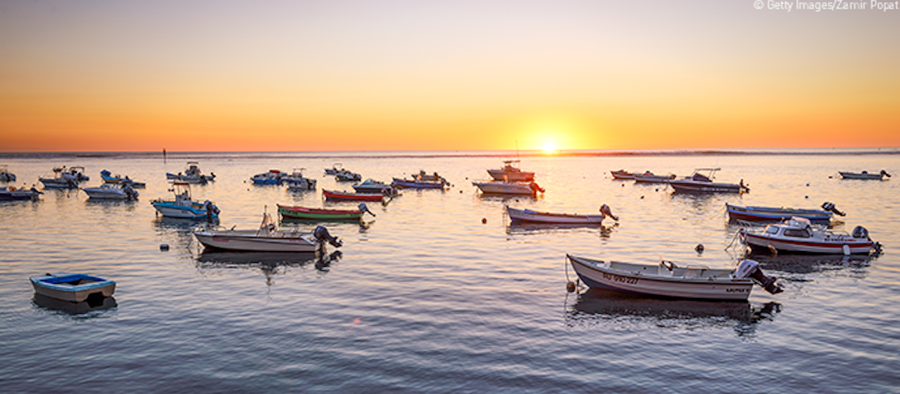 boats